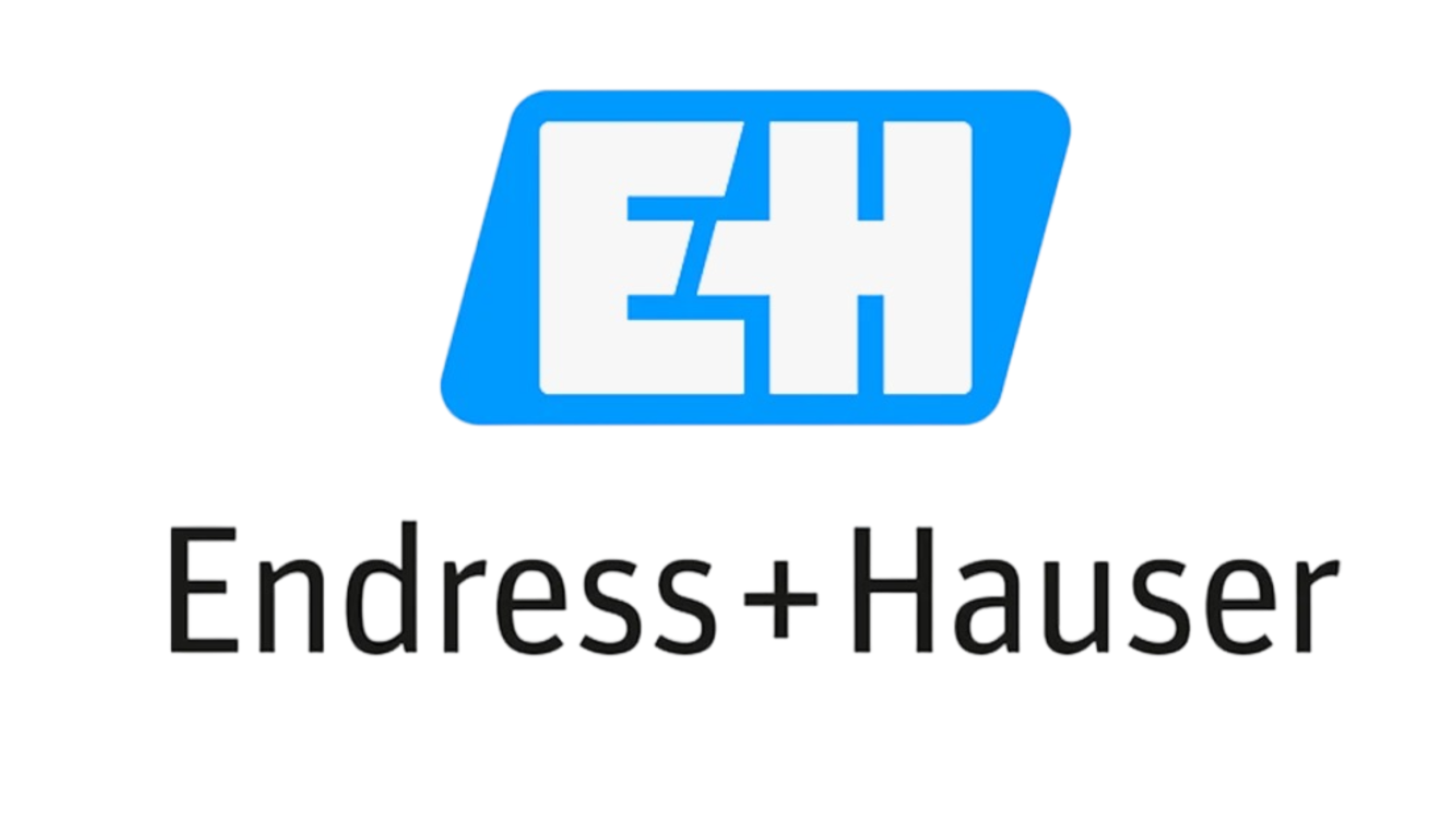 Endress+Hauser