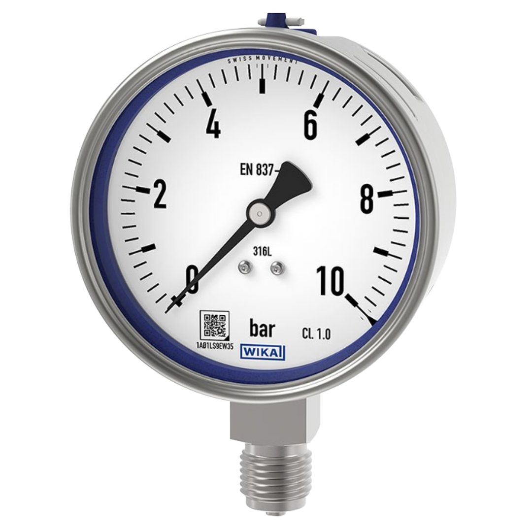 M & Calibration-80.webp