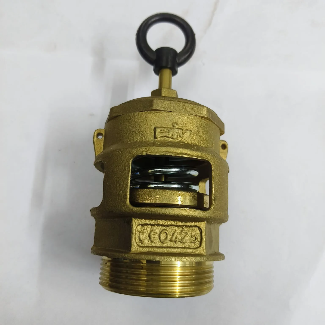 RIV 230 Opale Series Pressure Relief Valve with Free Discharge, 2" BSPP Inlet, 0.5–1.5 Bar, 050230000011 - image 5